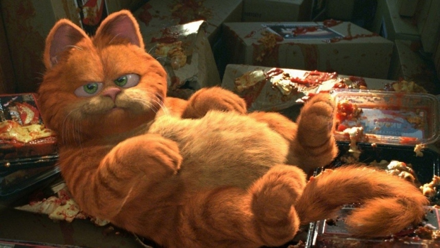 გარფილდი / Garfield