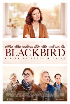 შავი შაშვი / Blackbird