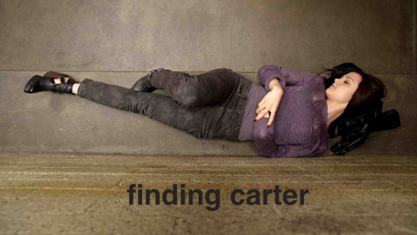 კარტერის ძებნაში / Finding Carter