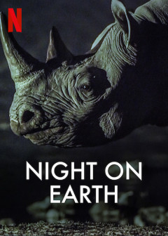 ღამე დედამიწაზე / Night on Earth