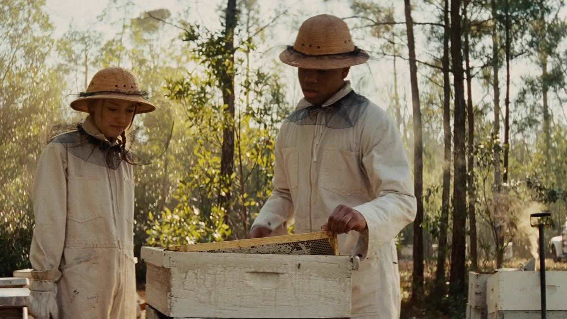 ფუტკრების საიდუმლო ცხოვრება / The Secret Life of Bees